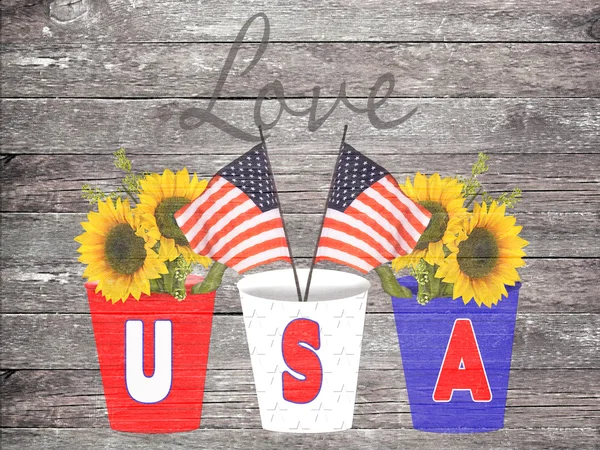 USA Patriotic Illustration - Banderas, Flores del Sol - Amor por el País — Foto de Stock