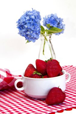 Kırmızı ve beyaz şemsiye Mat - çilek ve ortanca