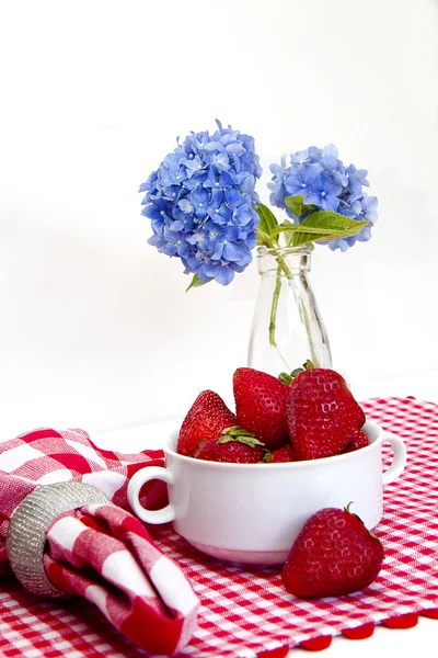 Estera de Gingham roja y blanca - Fresas y hortensias —  Fotos de Stock