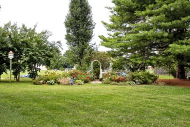 sonbahar manzarası Bahçe