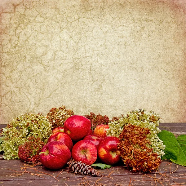 Appels achtergrond val seizoen — Stockfoto