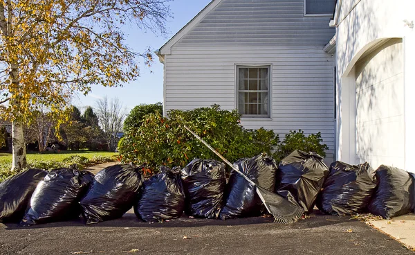 Cleanup of Leaves in Fall — Stock Photo, Image