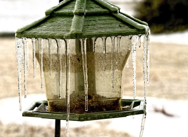 Hielo en alimentador de aves —  Fotos de Stock