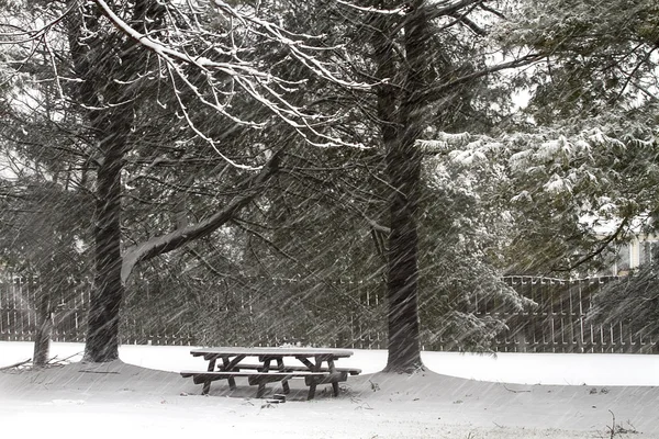 Scene di neve in mezzo alla Blizzard — Foto Stock