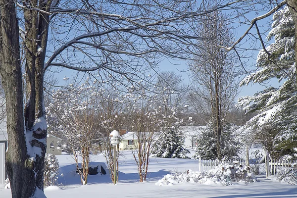 Día despejado después de tormenta de nieve —  Fotos de Stock