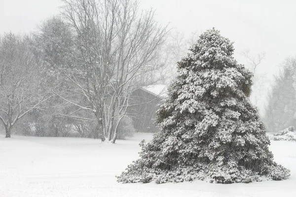 Beautiful Stormy Weather of Nature — Stock Photo, Image