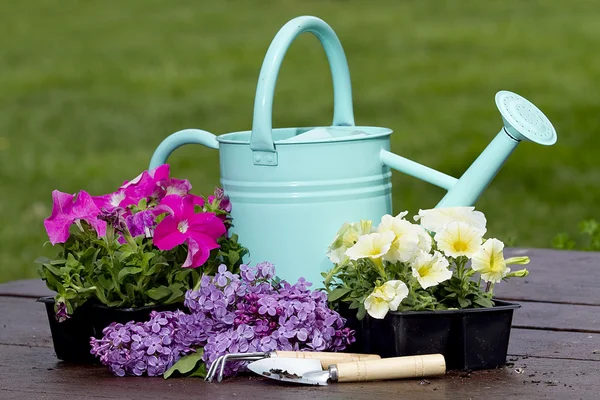 Assortiment van kruiden omringende blauwe Water kunt — Stockfoto