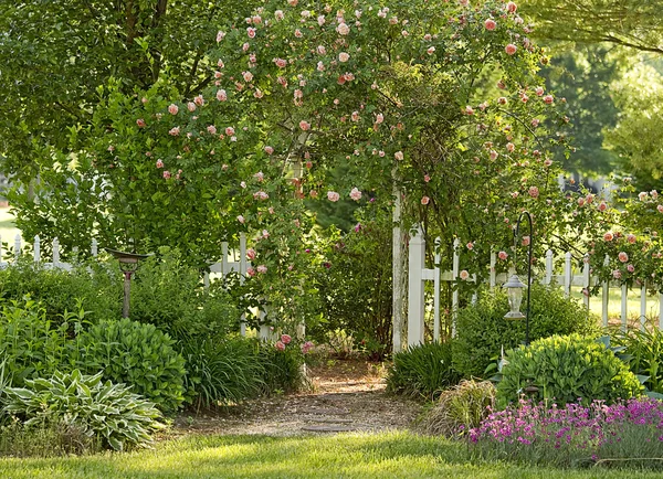 Blomsterträdgård med spaljé — Stockfoto