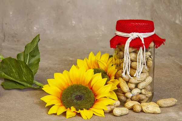 Jar Mode Lama Peanuts dengan Burlap Merah Lid — Stok Foto