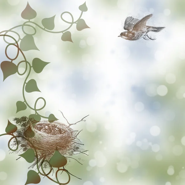 Kuşlar yuvaya arka plan ile doğa — Stok fotoğraf