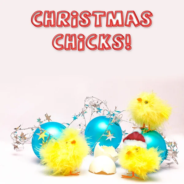 Різдвяні пташенята і блакитні різдвяні прикраси — стокове фото