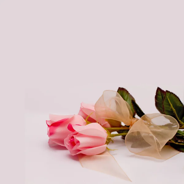 Fondo en rosas rosadas suaves —  Fotos de Stock