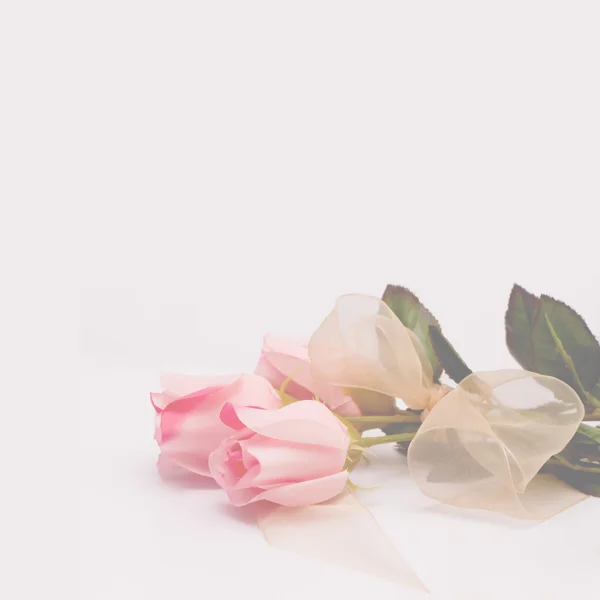 Dreamy and Soft Pink Roses Background — Stock Photo, Image