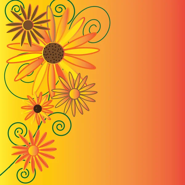 Daisy Floral Illustration Arrière-plan - Jaune, Orange et Brun — Photo