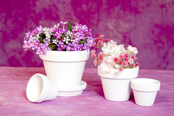 Macetas y flores de arcilla blanca en miniatura sobre fondo rosa —  Fotos de Stock