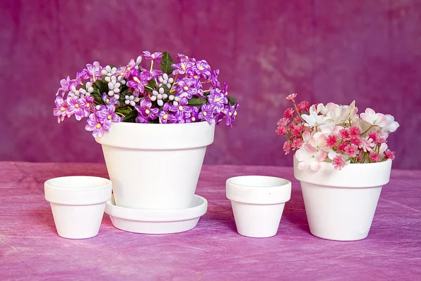 Macetas y flores de arcilla blanca en miniatura sobre fondo rosa — Foto de Stock