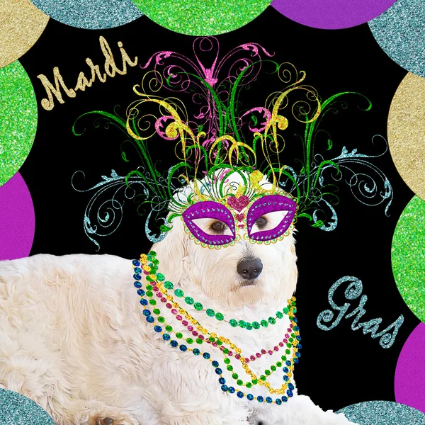 Mardi Gras - Dog - Dress-up - Festive — стоковое фото