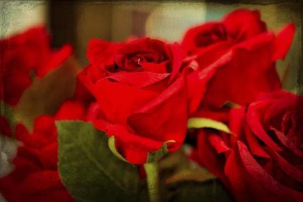 Close-up Red Roses met texturen — Stockfoto