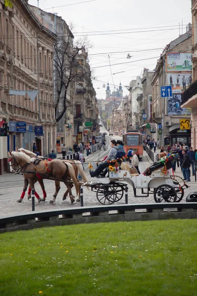 Lviv Ukraine April 2011 Tourists Ride Horse Drawn Carriage Center — Stock Photo, Image