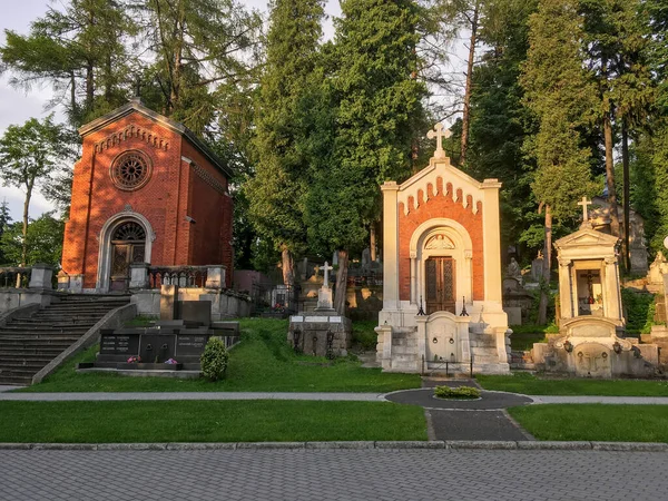 Lviv Ucraina Giugno 2019 Antiche Cripte Nel Cimitero Lviv — Foto Stock