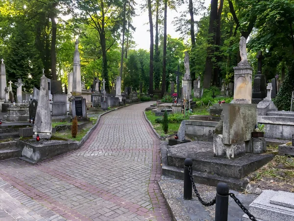 Lviv Ucrania Junio 2019 Callejón Con Tumbas Lápidas Antiguas Cementerio —  Fotos de Stock