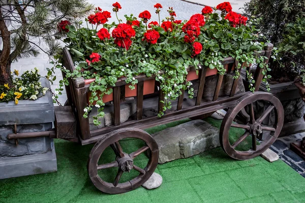 Canteiro Flores Forma Carrinho Centro Lviv Perto Dos Restaurantes — Fotografia de Stock