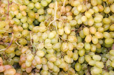 olgunlaşmış üzümler arka plan