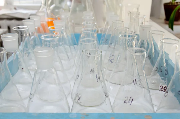 在化学实验室的化学烧瓶 — 图库照片