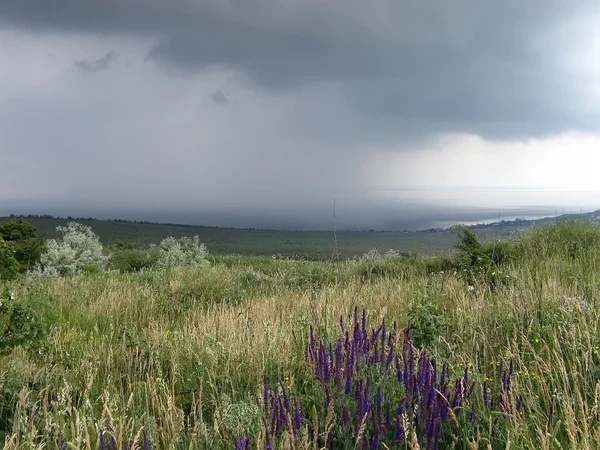 Mal tiempo en Kerch — Foto de Stock