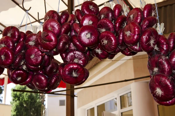 Cebollas rojas colgando —  Fotos de Stock