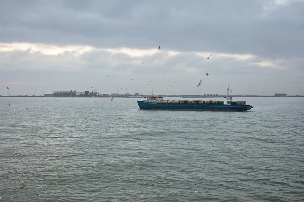 Train ferry en mer — Photo