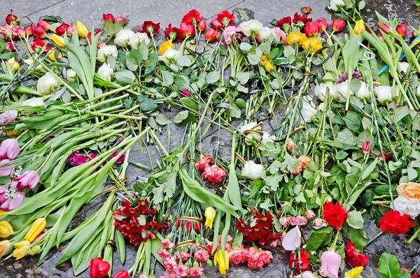 Flowers lying on grave — Stock Photo, Image