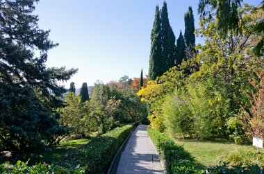 Park Vorontsov sarayındaki sokakta