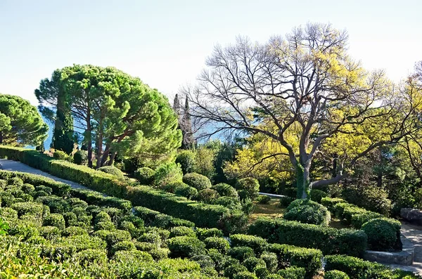 Park in Vorontsov Palace — Stock Photo, Image