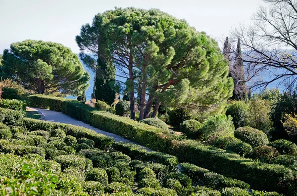 Park i Vorontsov Palace - Stock-foto