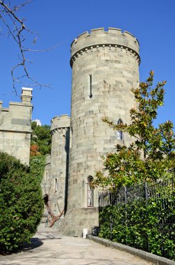 Kule ve cephe Vorontsov Sarayı