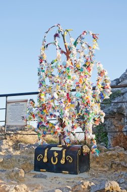 Dilek ağacı Kırım '