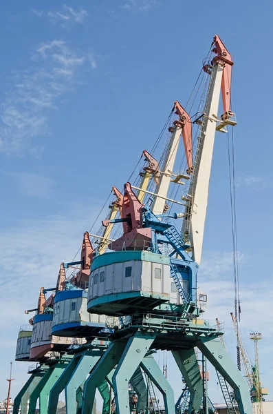 Certaines des grues de Kerch — Photo