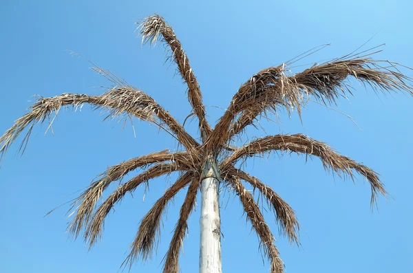 Искусственная пальма — стоковое фото