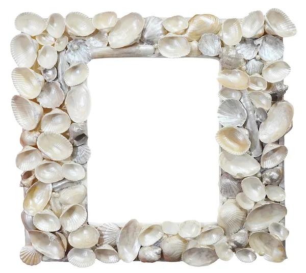 Frame is made of seashells — Stock Photo, Image