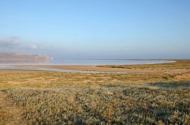 Shore tuz Kojashsky Gölü