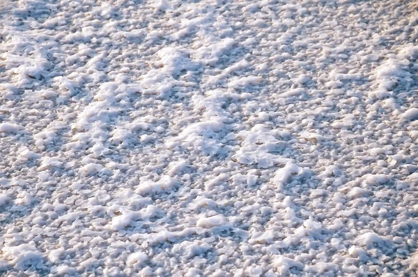 Lake Salt crystals — Stock Photo, Image