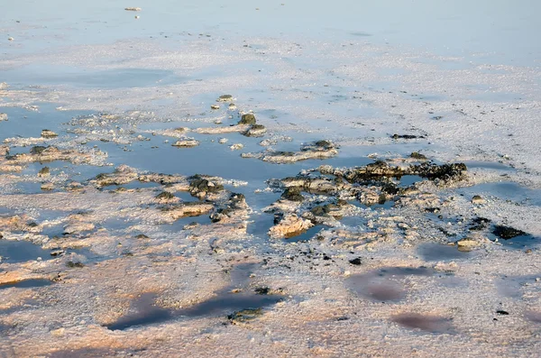 Ufer Salz Kojaschski See — Stockfoto
