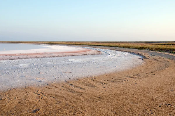 Shore salt Kojashsky lake — Stock Photo, Image