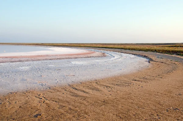 Shore Kojashsky Saltsjö — Stockfoto