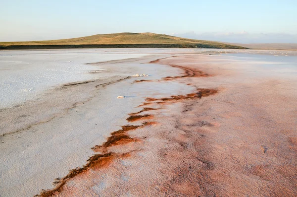 Shore salt Kojashsky lake — Stok Foto