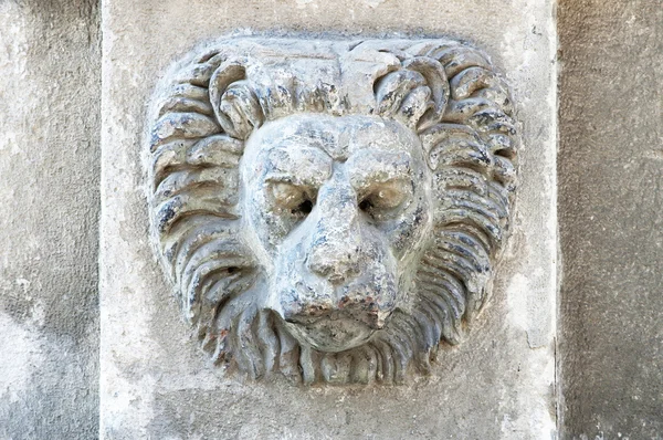 Skulptur eines Löwenkopfes — Stockfoto