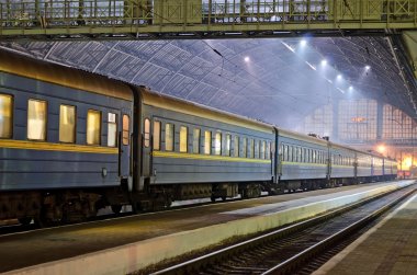 tren istasyonunda tren