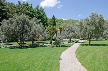 Partenit, Crimea parkta