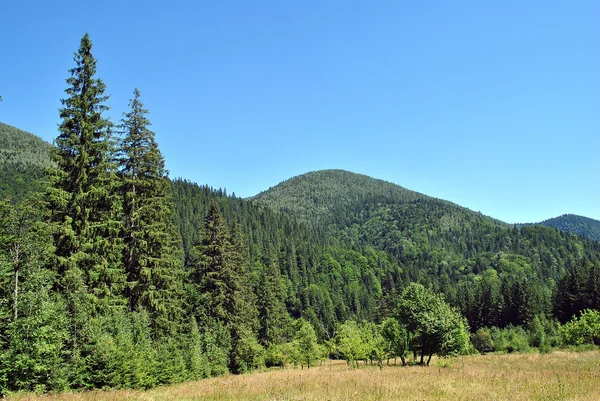 Ukraynalı Karpat Dağları